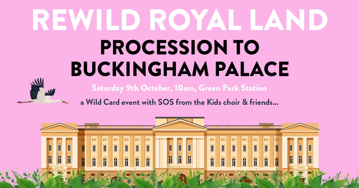 It is fantastic to see that the #RewildTheRoyals petition is now at 101,000+ signatures. This weekend there's a procession to Buckingham Palace to to deliver the petition. All in the name of rewilding! It's set to be a lovely family day. Follow @wildcardrewild for more info.