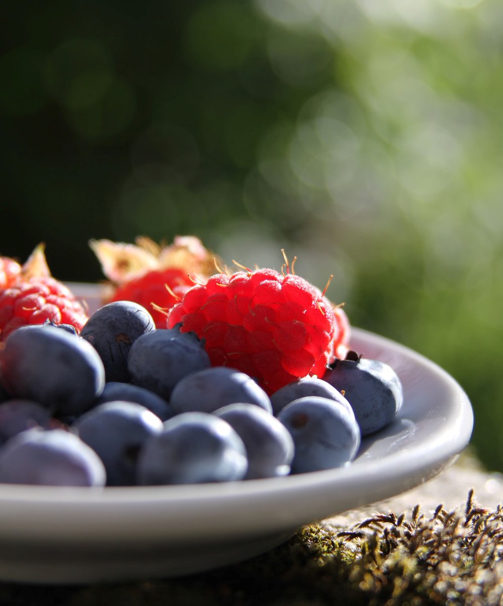 During #MalnutritionWeekANZ we would like to remind you about some of the practical tips you can use to improve nutrition and the mealtime experience for a person living with dementia. Thanks to <a href="/LanternOz/">🅻🅰🅽🆃🅴🆁🅽</a> for these journalofdementiacare.com/the-lantern-pr… 
<a href="/DrCherieHugo/">🅲🅷🅴🆁🅸🅴🅷🆄🅶🅾</a>