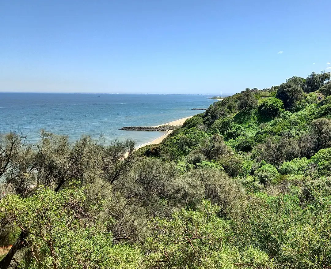 CJMurrumbeena's tweet image. #SaveAustralia from the tyranny of a #LockdownWalk in the midday sun

Sandringham, Melbourne