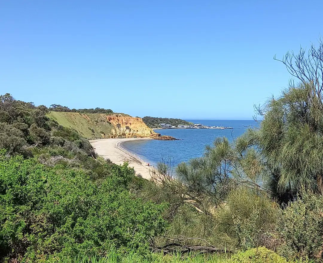 CJMurrumbeena's tweet image. #SaveAustralia from the tyranny of a #LockdownWalk in the midday sun

Sandringham, Melbourne