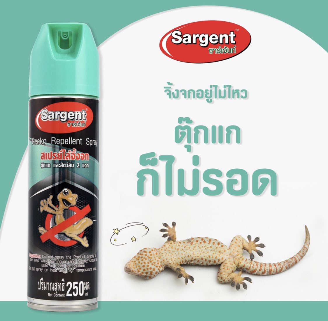 คนรักจิ้งจกหลบไป❗️เพราะ ซาร์เจ้นท์ สเปรย์ไล่จิ้งจก คือ นวัตกรรมสำหรับผู้ที่เกลียดจิ้งจกและไม่ปรารถนาจะเดินร่วมทางกาน ไร้สารฆ่าแมลง ทำและใช้สารสกัดจากธรรมชาติซึ่งย่อยสลายได้ง่าย ดีต่อใจสำหรับผู้รังเกียจจิ้งจกทุกคน วาร์ปกันต่อได้ ที่ shp.ee/qmbrh33