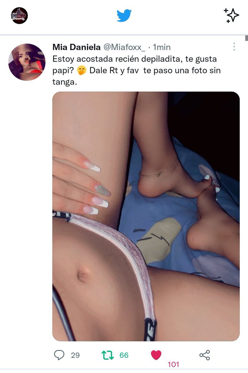 pedro💀 tweet media