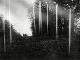 merlinpapin3's tweet photo. #WatchingClassicsChallenge2021 Octobre #FilmsMuetFrance avec (découverte) #LaChutedelaMaisonUsher de #JeanEpstein (1928) avec #JeanDebucourt #MargueriteGance Charles Lamy Fournez-Goffard et Luc D’Artagnan

@Jouxplane83 @FredOL69007 @tbarnaud https://t.co/BM72XT6Ddt