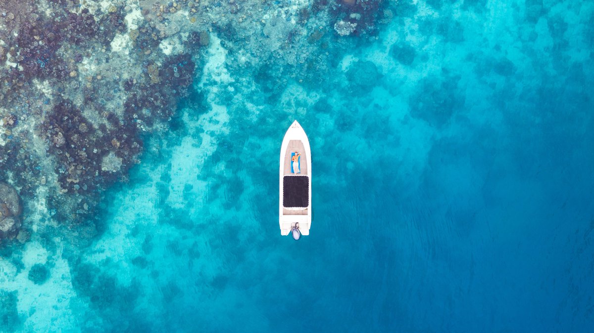 CreateMyAdventr's tweet photo. White sand beaches, turquoise waters and tall palms silhouetted against the setting sun. This is what you can expect from Royal Davui Island in Fiji! 
This private island can be rented as a single stay, or exclusively for up to 21 People!

#Travel #Fiji #PrivateTravel #Luxuty https://t.co/1qapcMQcyO