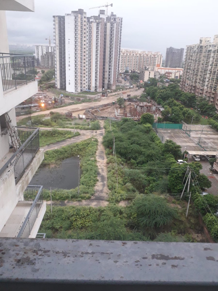 Risk_to_Reward's tweet photo. @DC_Gurugram @MunCorpGurugram rain water has created small pools in empty plot areas in front of Colonel school in sector 37c. Our society is reporting dengue cases as well. Kindly suggest a solution. https://t.co/BAXFBCKsV3