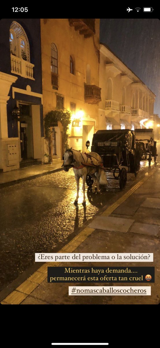 Natalia Vidales tweet media