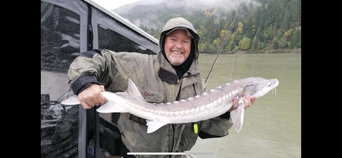 czarofbar's tweet image. Was fortunate to tag along with @hpxrsrjj on his @SturgeonSlayers trip today as camera guy! (And minnow catcher!) Unbelievable day! The masters will post the real monster fish!😉 If you’re thinking about a #sturgeon trip these are your guys to call! #fishbc #bcfishing
