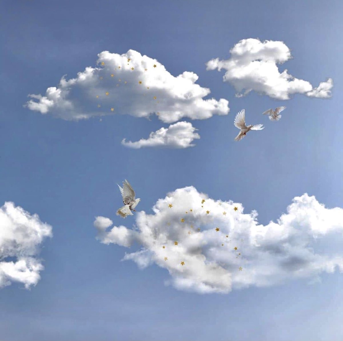 ” ” هل تساءلت: لماذا لون السّحاب أبيض؟؛ لأن بدايات الخير دومًا تكون بيضاء”  
🕊🌧