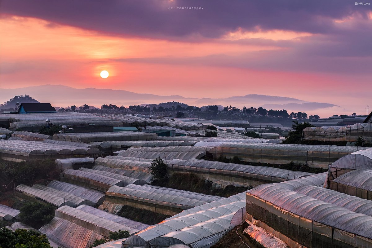 Collins Matheny (@collinsmatheny) on Twitter photo 