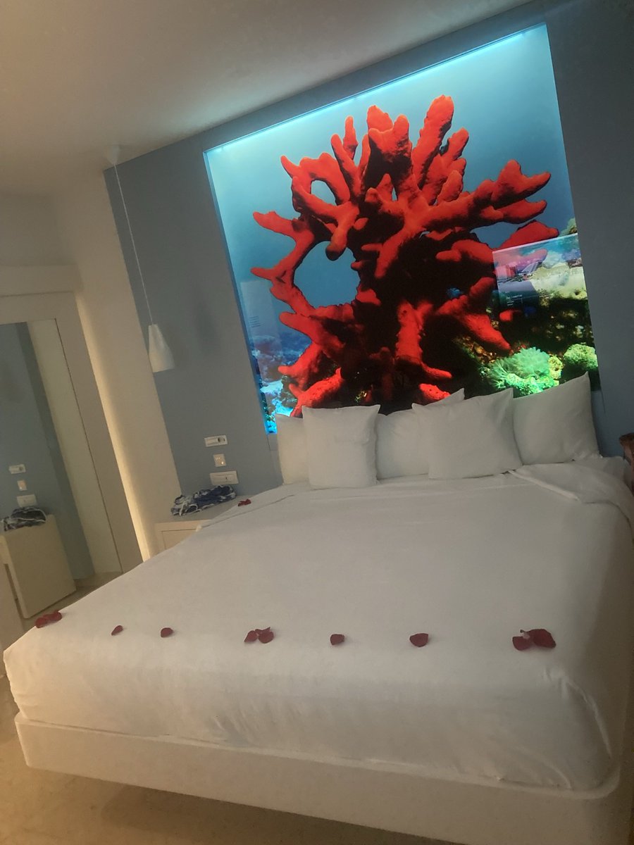 #vacation2021 #HEAVENEXISTS #absolutelyinlove #poolocean #drinksunlimited #foodunlimited #adventure #cancun2021 #allinclusive