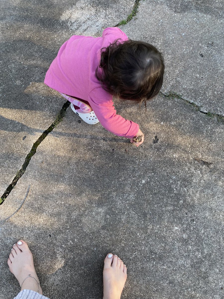 faithtruesdale's tweet image. Outside time today was cute as hell. Today Isabelle found her first rocks 🥰 she was so proud. She also poked the ground with that stick and wasn’t impressed. 🥰😩 #heartexploding