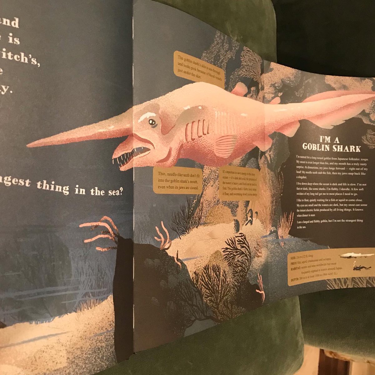 Rachel Poliquin tweet media