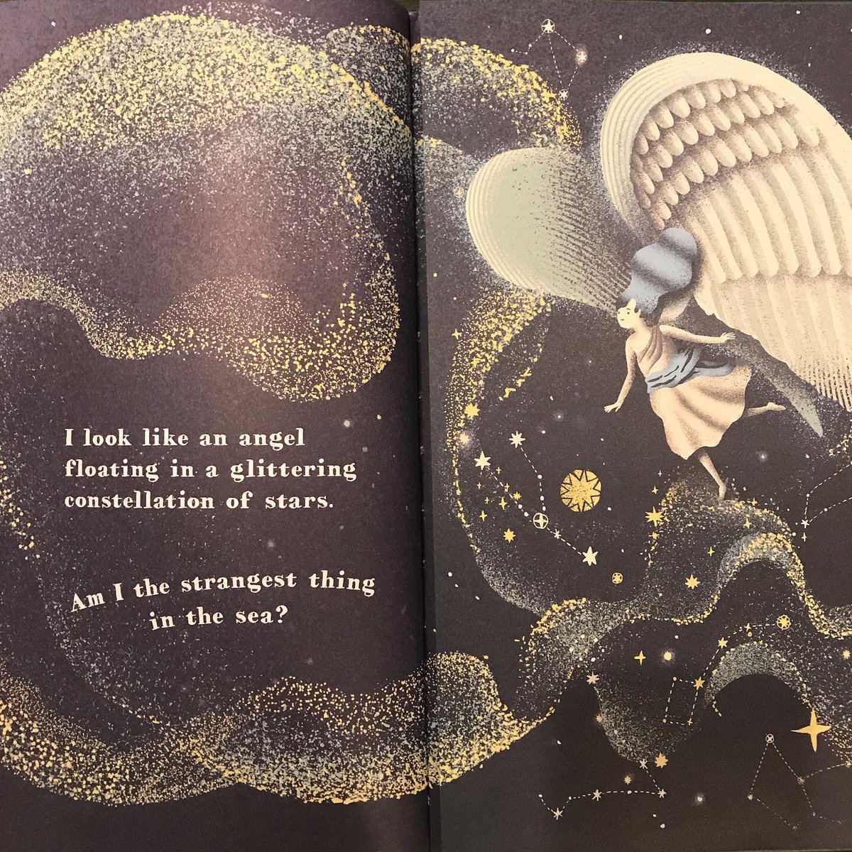 Rachel Poliquin tweet media