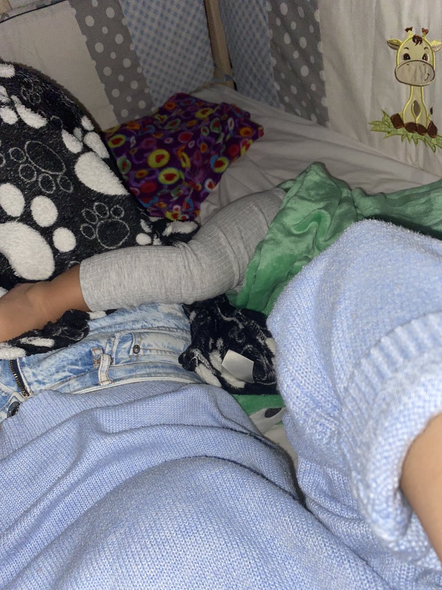LinaMariaMuoz's tweet photo. Vivir toda la vida odiando que me monten el pie para dormir!! Nació Lucio y ama hacer eso y yo me derrito https://t.co/z6z3hpgJcW
