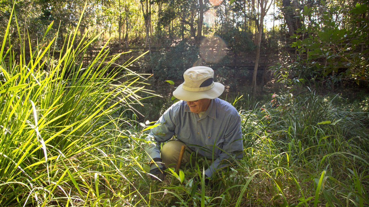 Voting is now open for the Cleanaway People's Choice WasteSMART Award! The WasteSMART Brisbane Awards recognise individuals, schools, businesses and community groups for their work towards a clean and green Brisbane. Voting is open until 15 October: bnecouncil.cc/3AarRT7