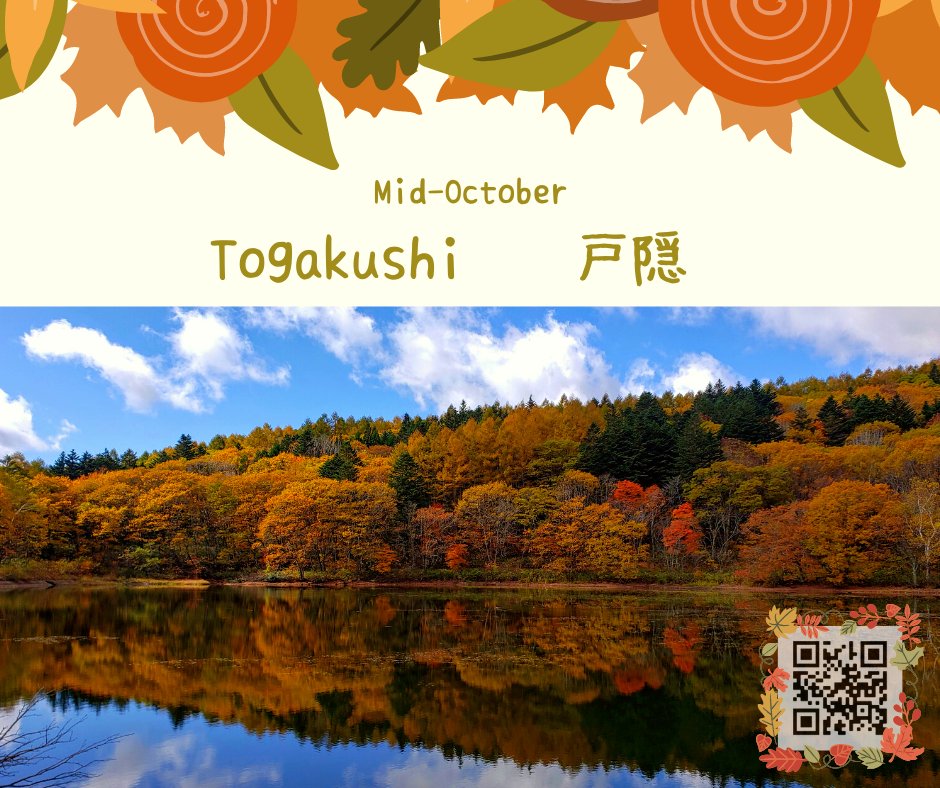 CirNagano's tweet photo. Fall is upon us! 🍁

Enjoy Nagano's beautiful Autumn colors at some of its best spots, listed below:

#Nagano #autumn #fall #colors #kamikochi #togakushi #seisuiji #koyo https://t.co/84wxL2WnyX