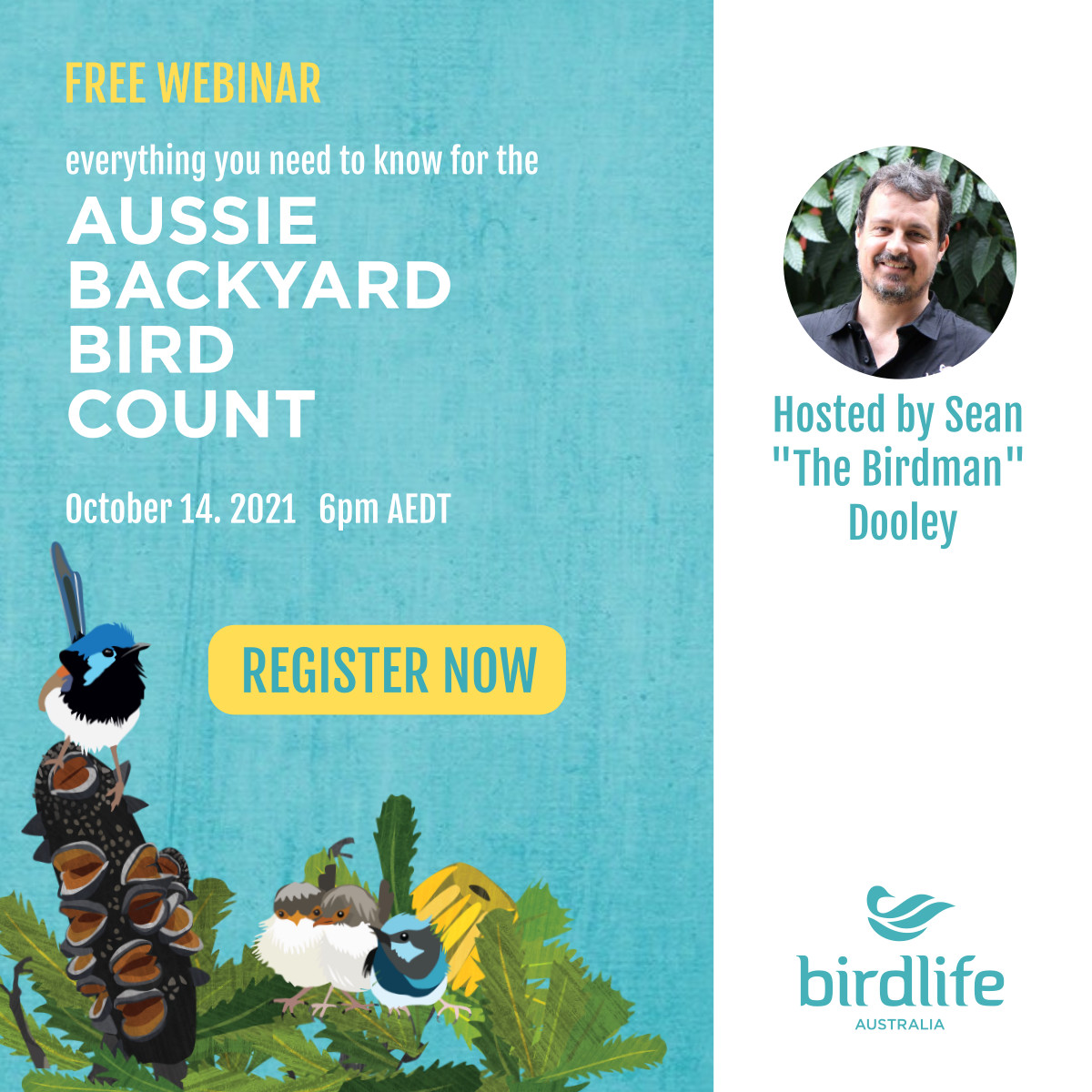 If you want to take part in this year's #AussieBirdCount but don't know where to start, we’ve got you covered!
 
Hosted by the one and only <a href="/Twitchathon/">Sean Dooley</a>, our Zoom webinar on October 14 will teach you everything you need to know. Get your tickets at bit.ly/birdinar