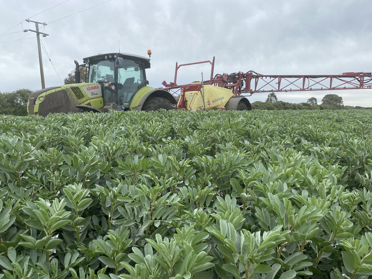Alan79648744's tweet photo. Fungicide going out on the Beans https://t.co/ygz2YBKXO6