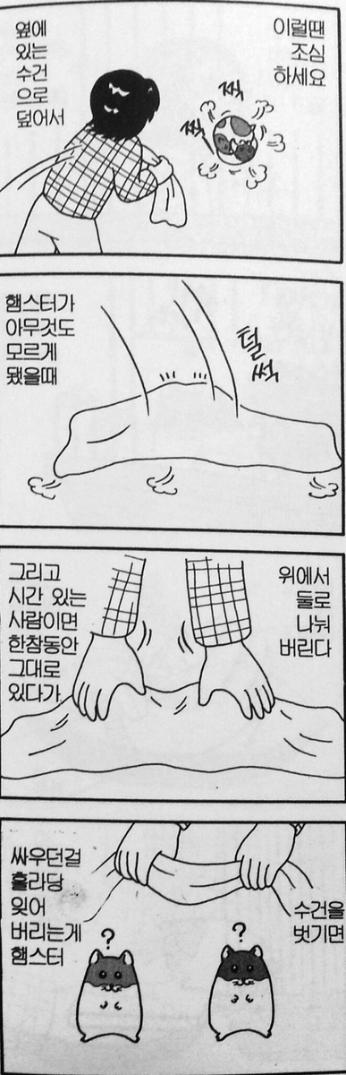 이거 챤챰