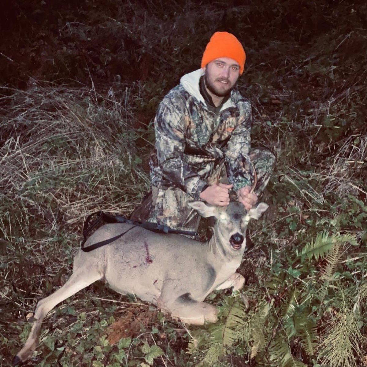 Dustinkeys124's tweet photo. 🦌 https://t.co/MmQRxRlSfm