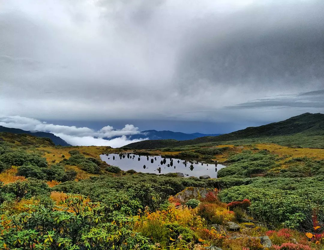 DJigme_K's tweet photo. From the trail of Dungtsho.
#trail #lakes #mountaineering #mountains #dungtsho #nature #NaturePhotography #riversource #pristine #hike #TwitterNatureCommunity https://t.co/PSxSlOhX8F