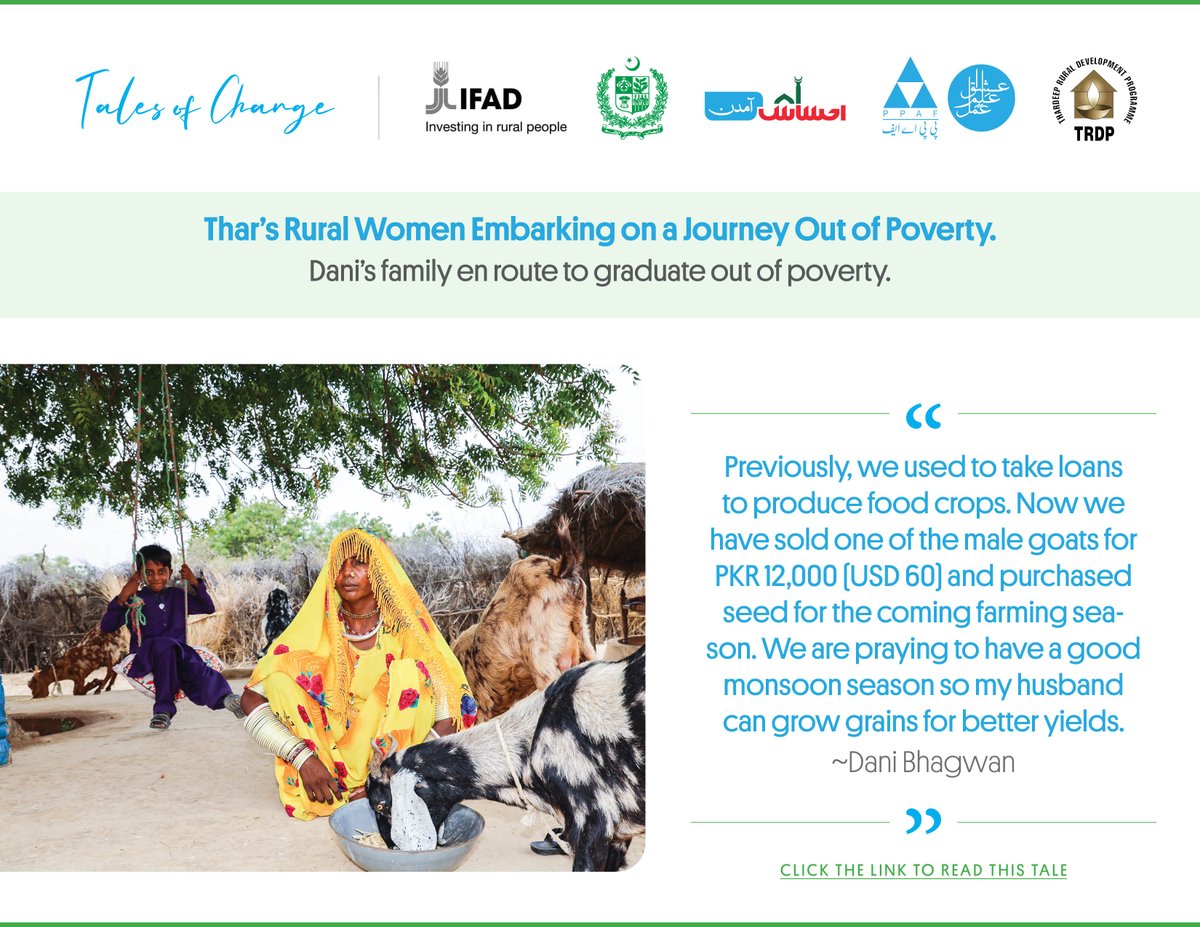 PPAFofficial's tweet photo. Read this tale of a rural woman, Dani, whose family started livestock trade in the Thar desert of #Pakistan with the support of @GovtofPakistan🇵🇰 & @IFAD.
Click this🔗https://t.co/Vrq3YVM9l1
#RestoringHopes 💙
#InvestInRuralPeople👨👨👧👦
#TalesOfChange 🏆
#IFAD #NPGP #TRDP #SDGs https://t.co/AiXo8s1qPI