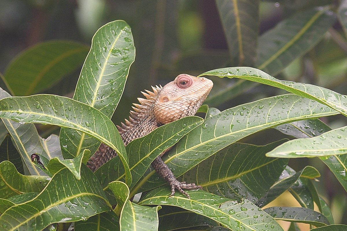 Madhu Shetty tweet media