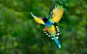 🇵🇰 Team PakSMART tweet media