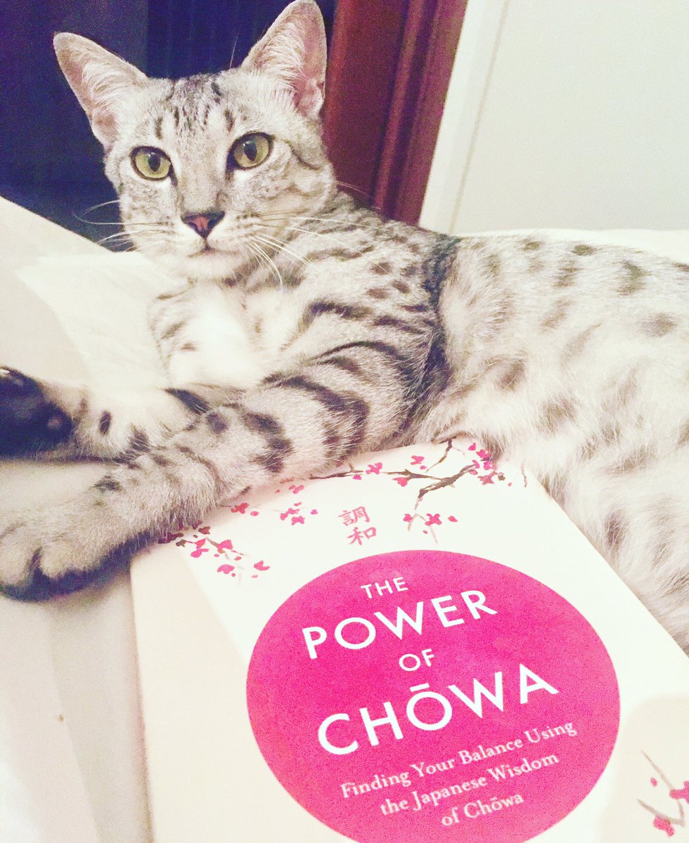 My reading assistant #Ryo is helping me get comfortable as I read the book by <a href="/akemitanaka777/">Akemi Tanaka</a> #thepowerofchowa #egyptianmaucat #balance #chowaウエディング #japan🇯🇵  #catsandbooks