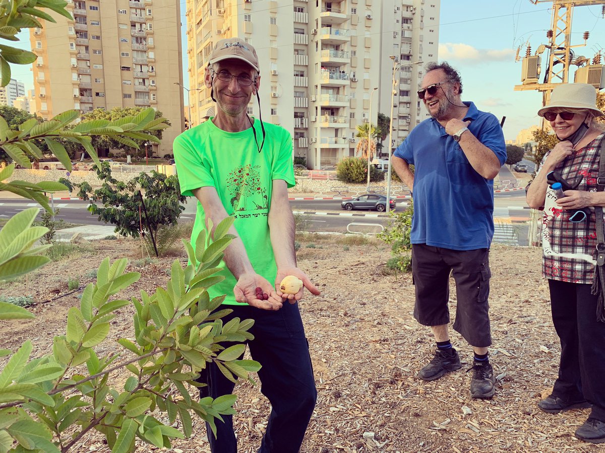 ReForest_Earth's tweet photo. Starting to #harvest the #fruits of our labor. It wasn’t much, a few #pitanga, a couple of #strawberryguava, and just one #guava, but it’s a #sweet beginning to the #abundance to come and nothing is as sweet as enjoying it in #community.#foodforest #urbanagriculture #agroforestry https://t.co/3GtunNPdTu