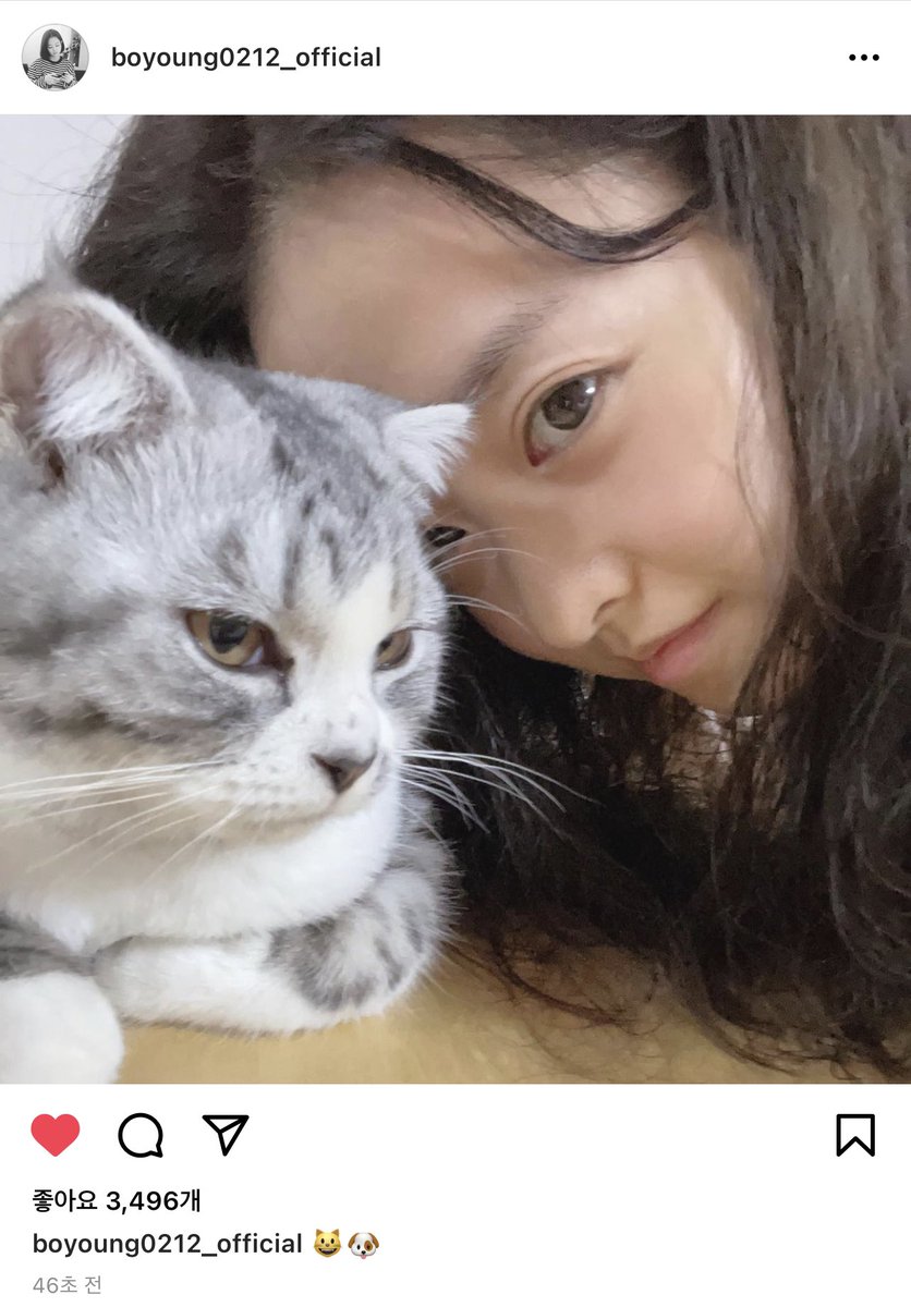 엥 뭐하세요?....
지금...
자기가 강아지라는 거 맞지 ......