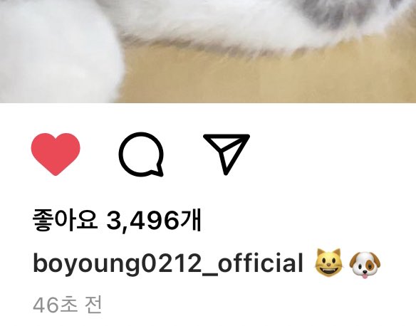 강아지...
박보영 강아지 맞다니까 .. . ...
🐶..... ♡