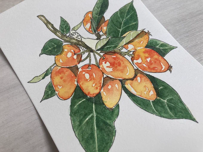 🌿🍎🌿 