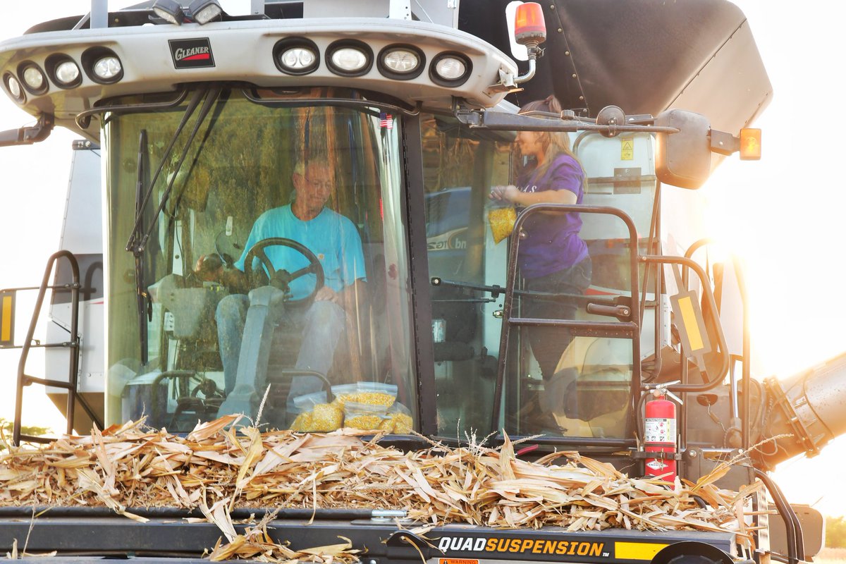 Lots of <a href="/OnFarmResearch/">NE On-Farm Research</a> plots being harvested the last couple weeks! Today was a <a href="/pivotbio/">Pivot Bio</a> and sidedress nitrogen study.