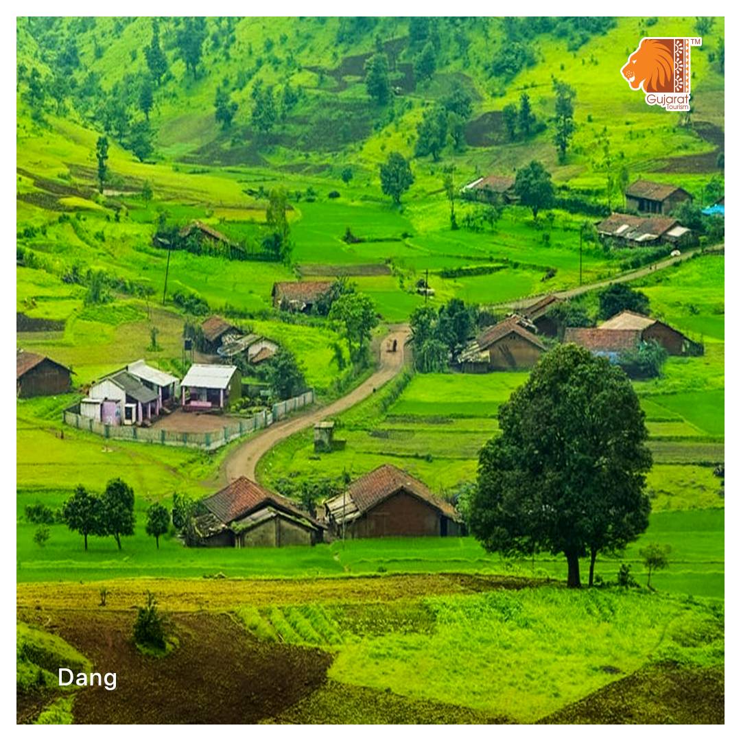 GujaratTourism's tweet image. A hilly retreat with dense greenery, Dang district is a repository of the earth’s natural treasures. A walk here keeps you thrilled with adventure.

#GujaratTourism #Gujarat #Dang #Nature