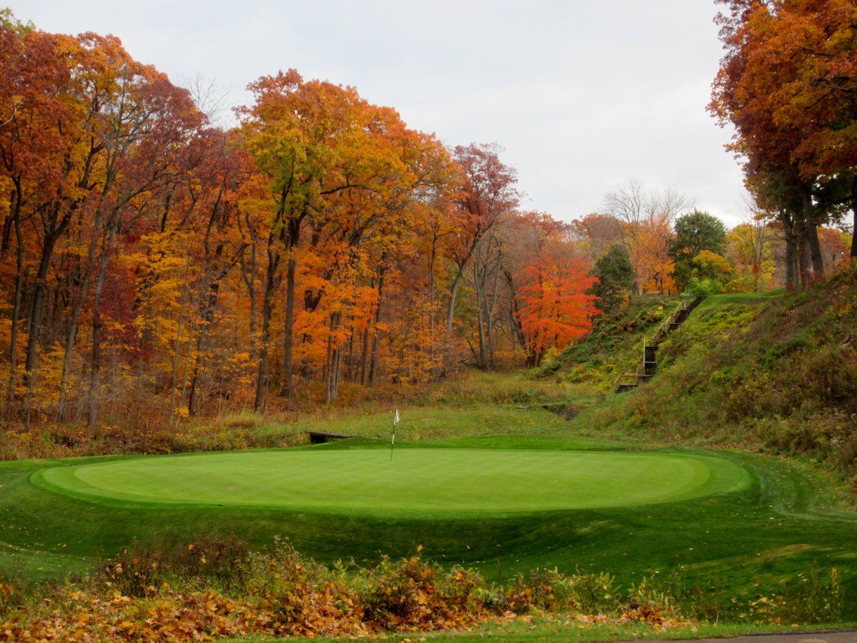 Golf Course Gurus tweet media