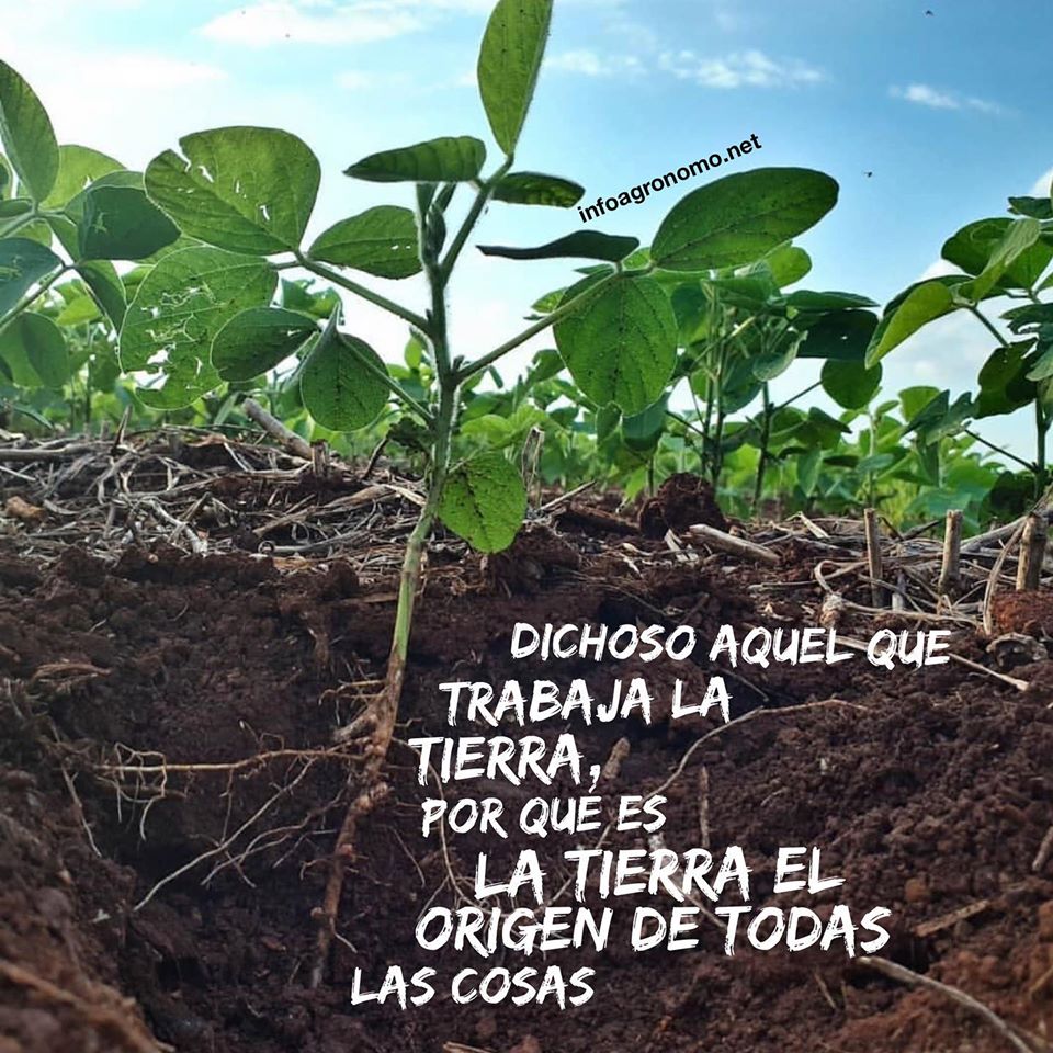 GanaderiayAgro's tweet photo. #Agricultura #Ganadería #Granjas #Rural #Agricultores #Ganaderos #Razas #Semillas #Genética #Tecnología #Manejo #Campo #Ranchos #pecuario #genetica #Tractores #Corrales #Agro #Caballos #Cabras #Cerdos #Gallos #Memes https://t.co/1gceYrIsy5