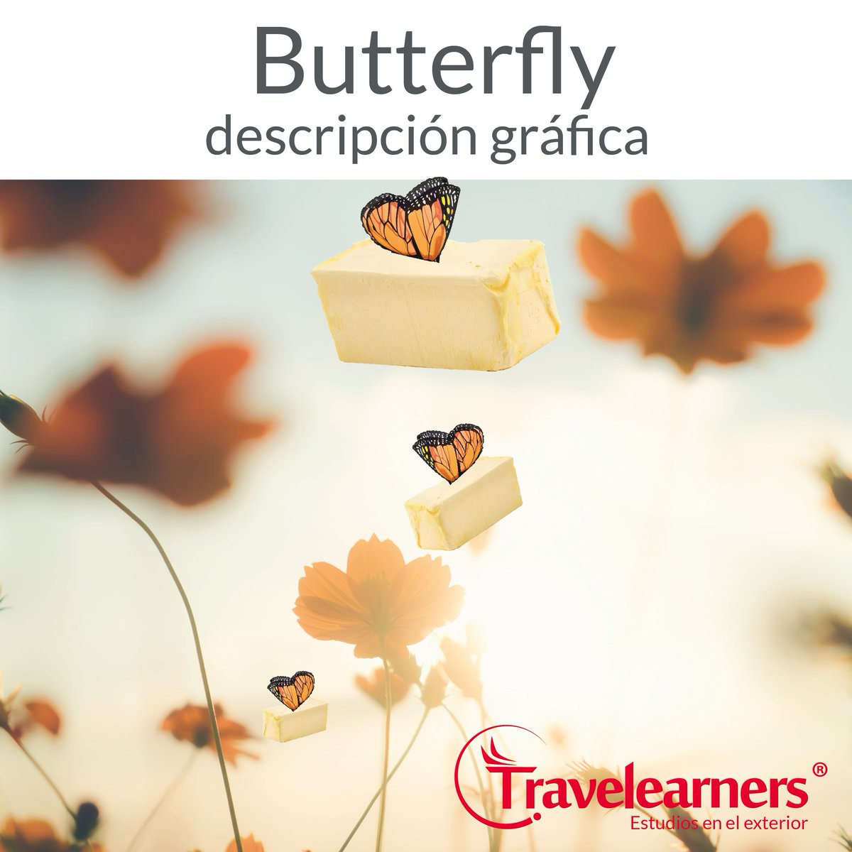 No paro de reír deja tu ❤️ si también te dio risa
visita nuestra web, entérate de nuestra promoción del mes
👉 travelearners.com 👈
o llámanos al
7443239 📞