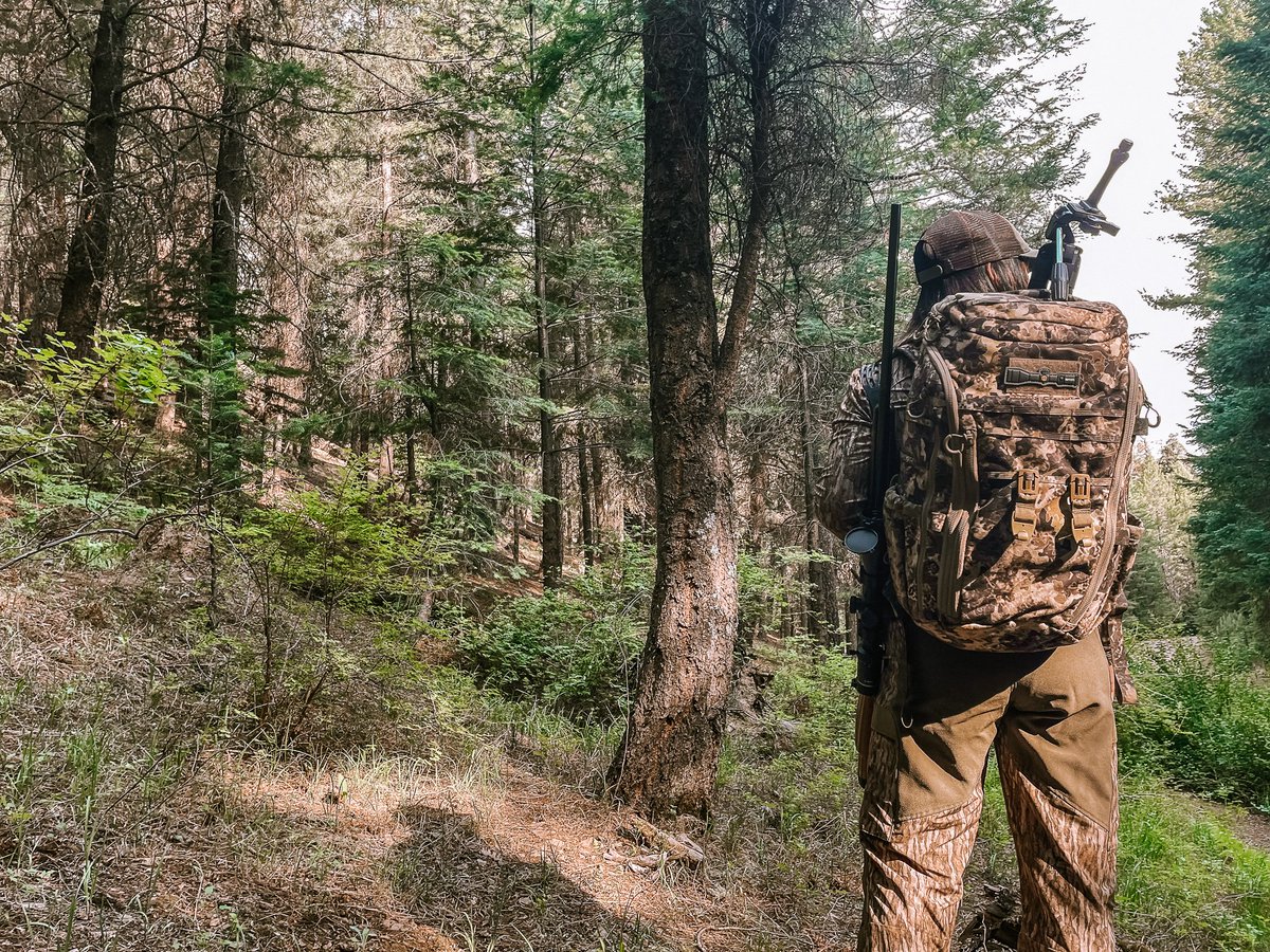 ritonoptics's tweet photo. SHOUTOUT! Where are all our hunters at?
#riton #ritonoptics #hunting #arizonahunter #arizonahunting #optics #scopes #riflescopes #binos #gohunt #outdoors #getoutside #forest https://t.co/JiSOKLCaMG