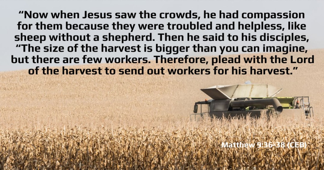 DakotasUM's tweet image. As we harvest the fields we have sowed, we turn to God for wisdom and guidance.  #Godofharvest #guideus #leadus #keepofsafe