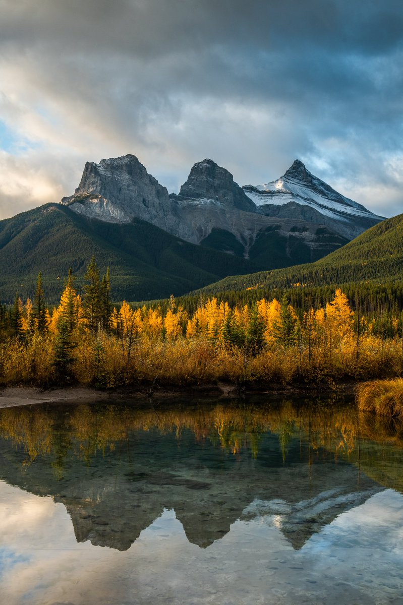 Erik McRitchie Photo tweet media