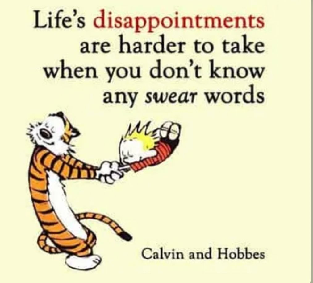 Calvinn_Hobbes's tweet photo. I agree! 🤣 #CalvinandHobbes https://t.co/4A48sgcoXe