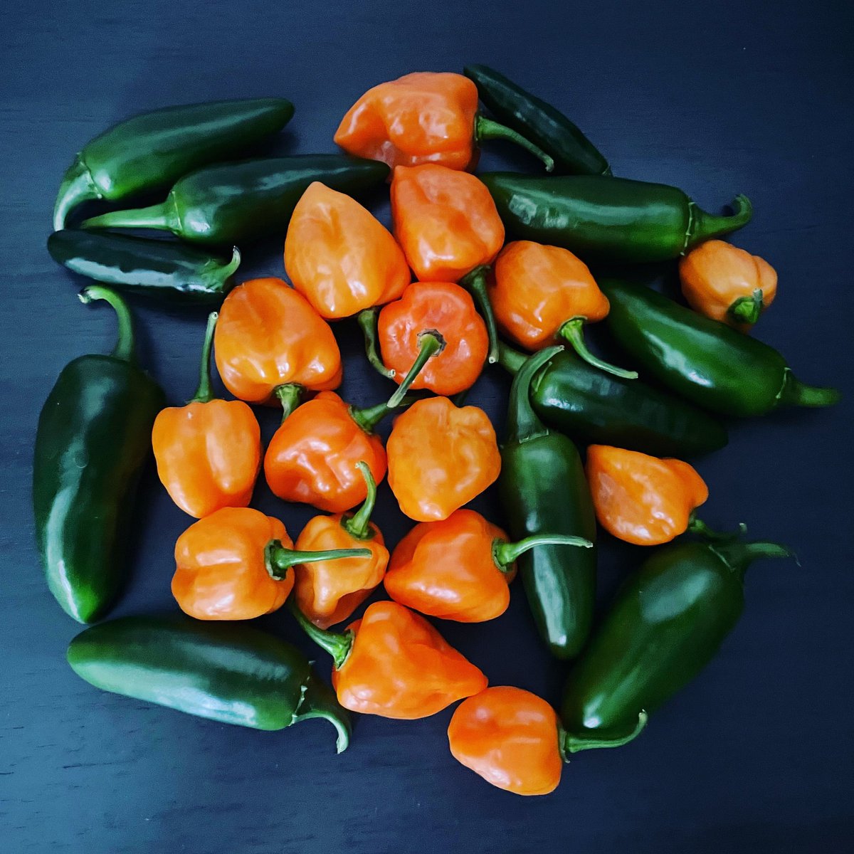 Keystone Cops On Twitter Hot And Sweet Pickled Peppers Are Amazing 