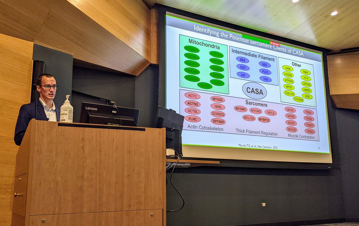 jonathankirk's tweet photo. Proud mentor, as @Tom_Martin315 successfully defended his dissertation and is now Dr. @Tom_Martin315! Going to miss him as he moves on from @LoyolaChicago, but can't wait to see what he accomplishes next! #BAG3 #AcademicChatter #CardioTwitter #PhDone https://t.co/Merg8tnrDn
