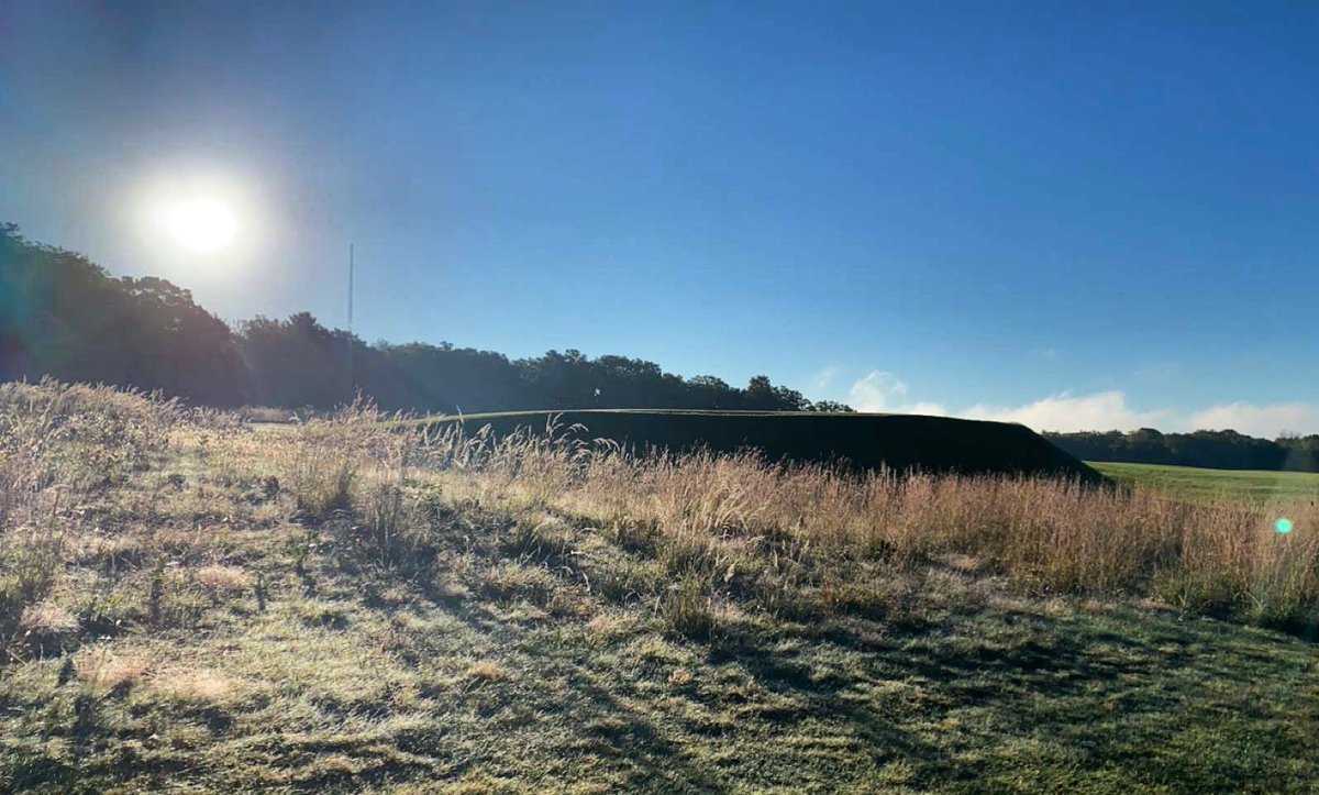 LawsoniaGolf's tweet photo. 🦌 https://t.co/xgWI9Xhp69