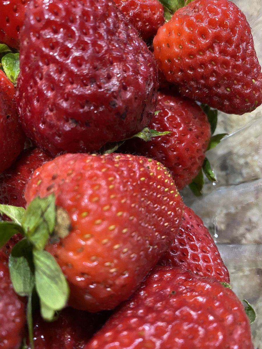 AGFaubs's tweet photo. Catch Kickoff Week Day 2οΈβ£!
Getting in My Fruits with a Favorite of Mine. π #ACEcubs #CatchTheCubs @ACEphysED https://t.co/NkmvlhCwdO