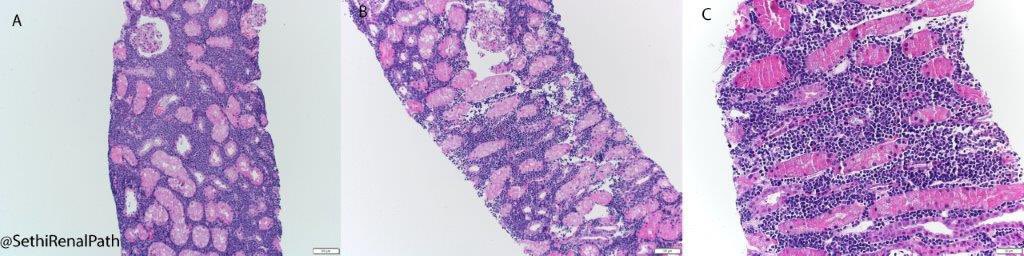 Sanjeev Sethi tweet media