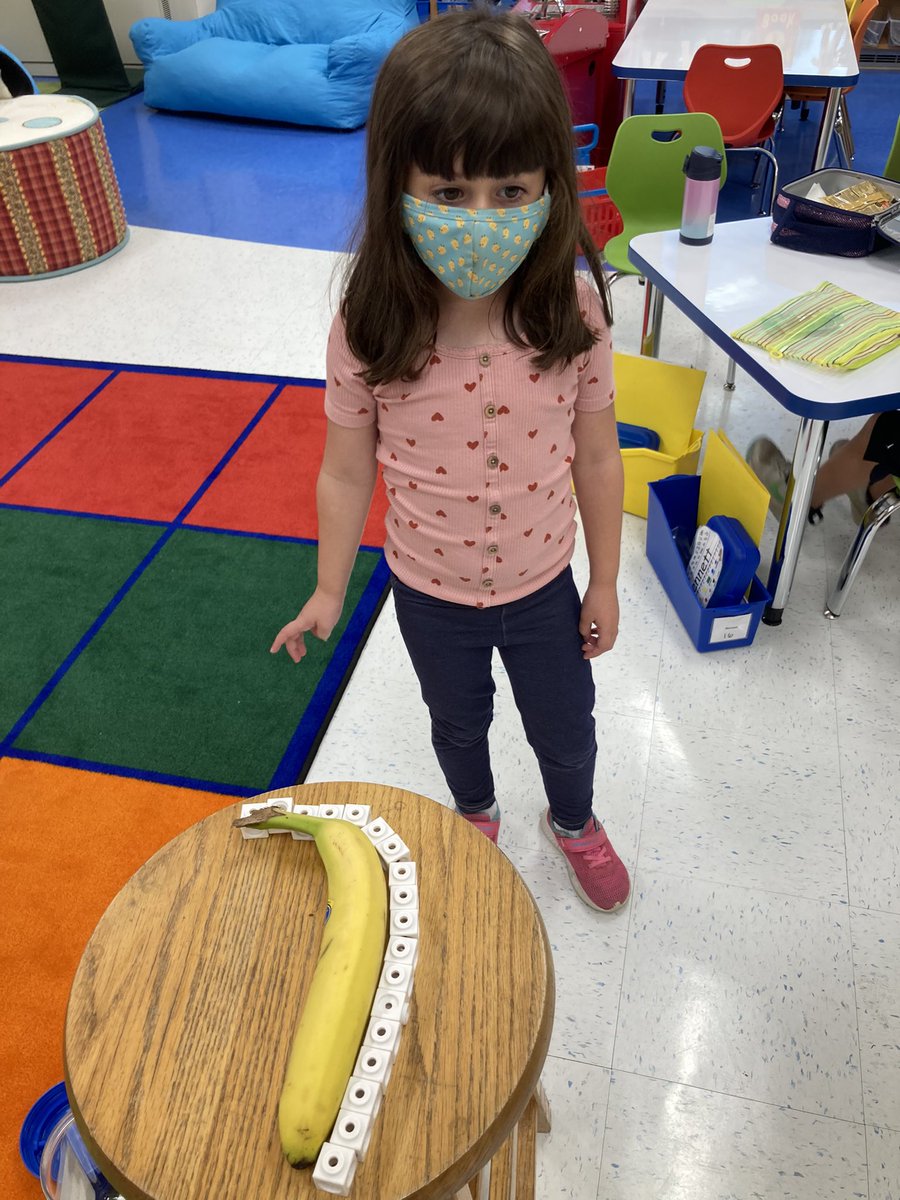 TColemanHubbard's tweet photo. Snack time gave a whole new meaning to playing with our food today in K-C. We wondered, “how BIG is that banana?!” Using connecting cubes to measure - Ss counted 18 cubes (one cube fewer than the number of students in our class). #INV3 #curriculumconnections @Hubbard_School https://t.co/Tf2ecfDW7f