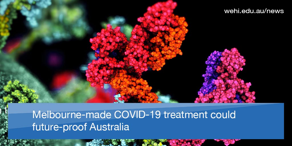 WEHI (Walter and Eliza Hall Institute) tweet media