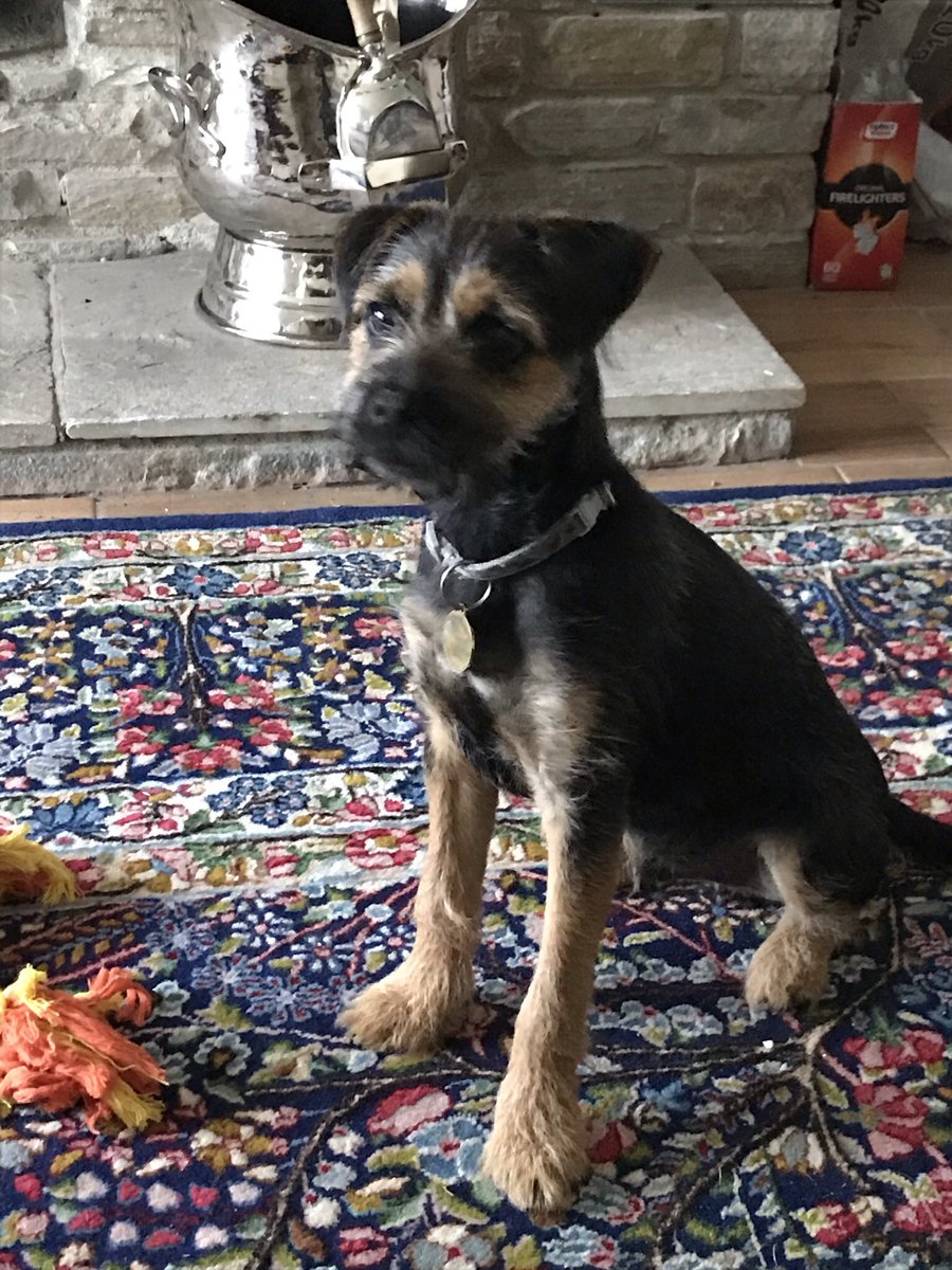 BtBoru's tweet photo. @sarajcox Hello https://t.co/77xNf1auqq